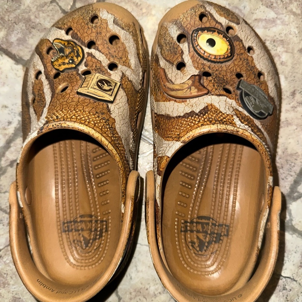 Kids dinosaur crocs